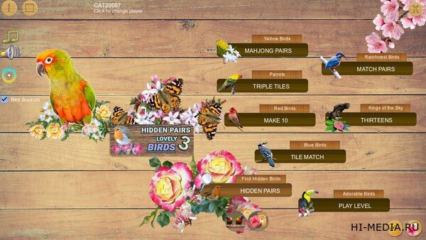 Hidden Pairs 3: Lovely Birds (2025) ENG